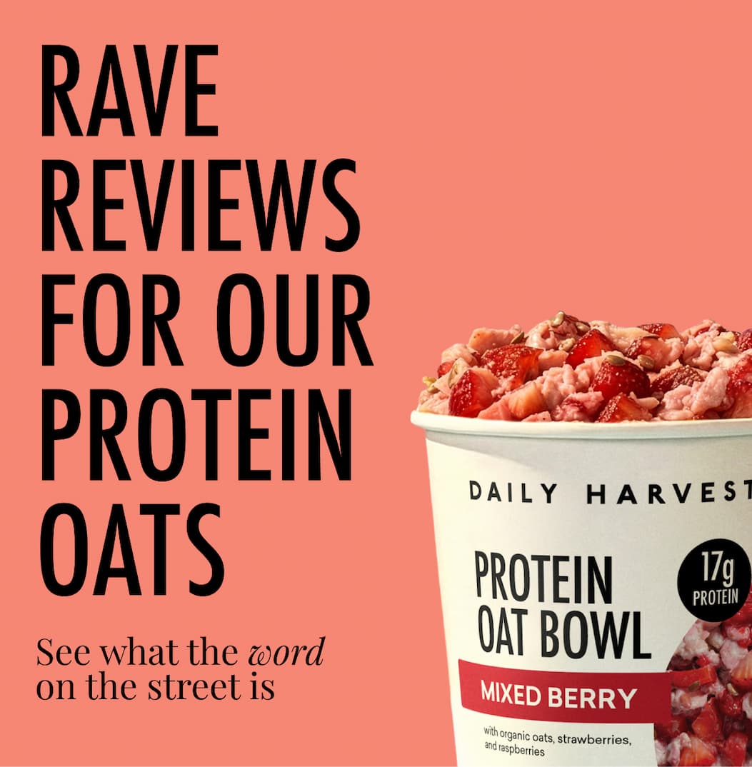 RAVE REVIEWS FOR OUR PROTEIN OATS | See what the word on the street is