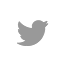 Daily Sale Twitter