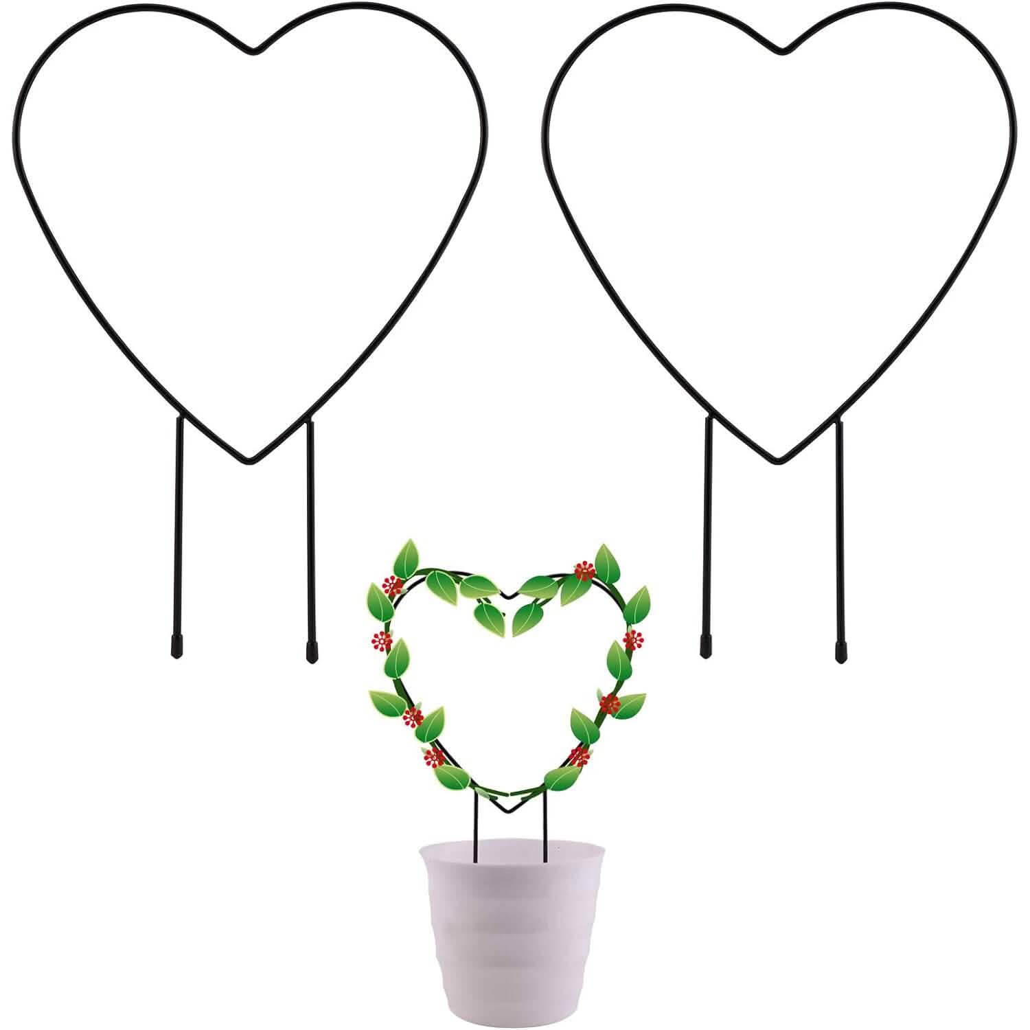 Image of 2-Pack: Heart-Shaped Plant Support Stake
