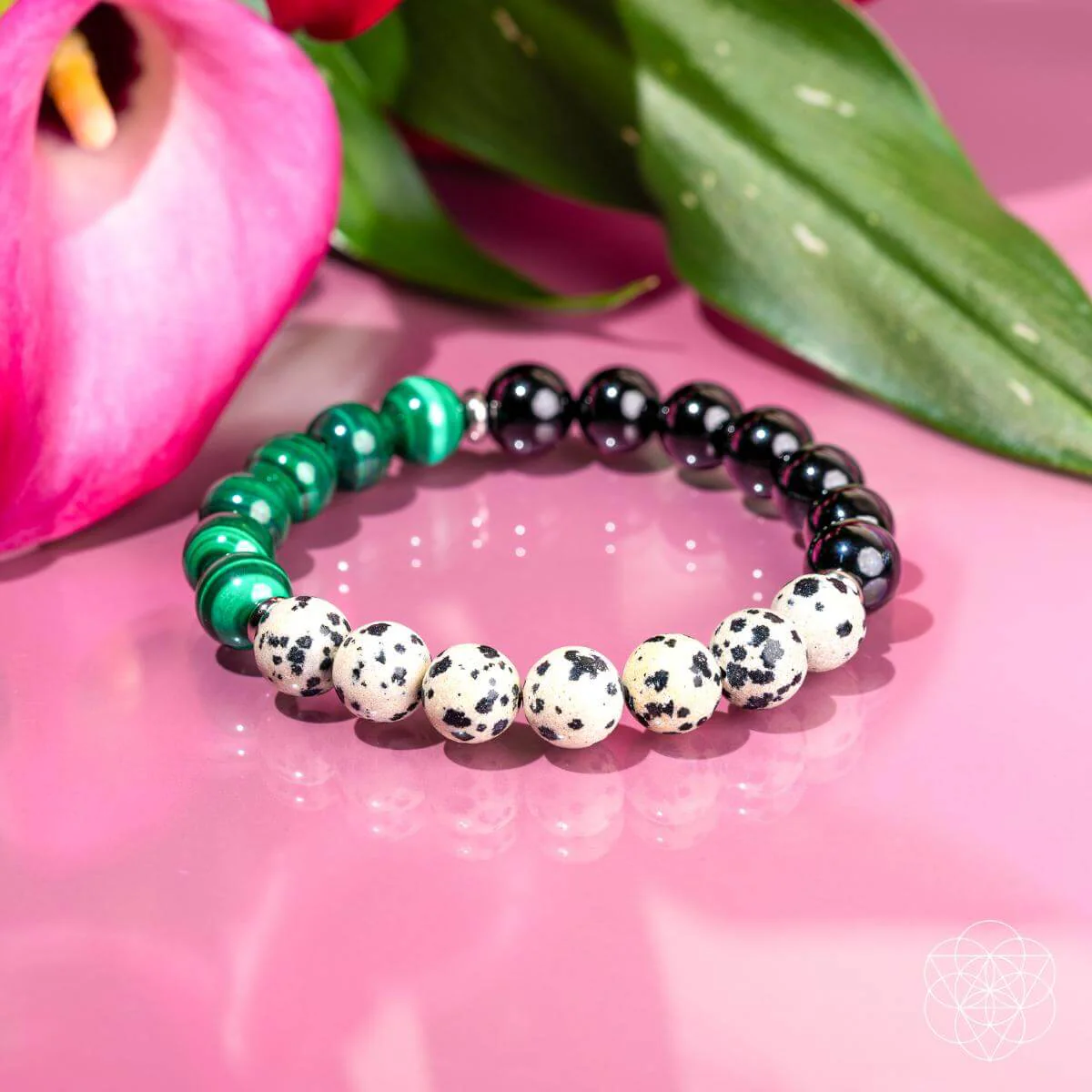 Image of Soul Reset: Dalmatian Jasper Bracelet of Healing