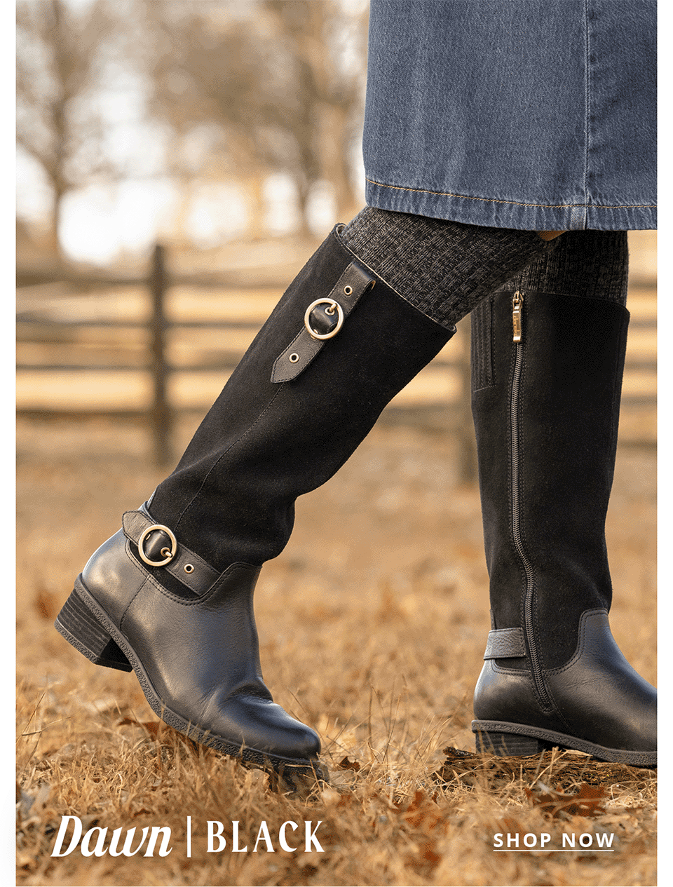 Dawn Black | Shop Now