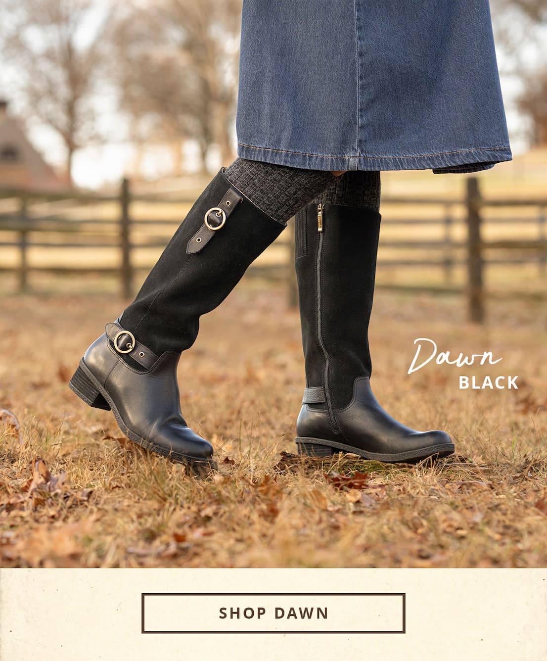 Dawn Black | Shop Dawn