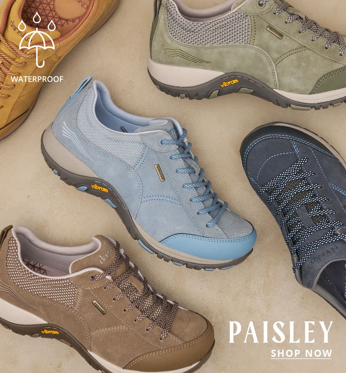 Paisley | Shop Now