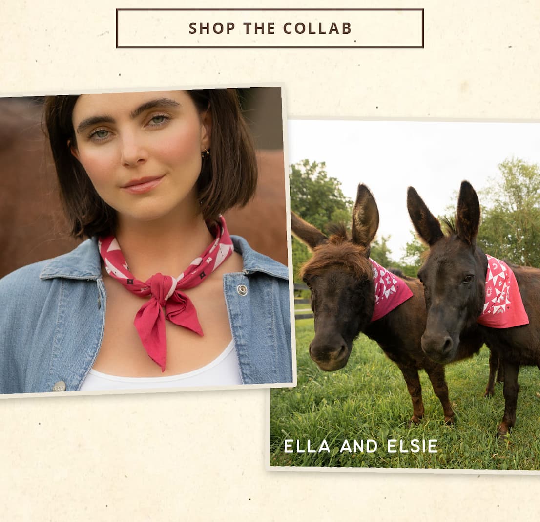 Shop the Jenni Earle Collab