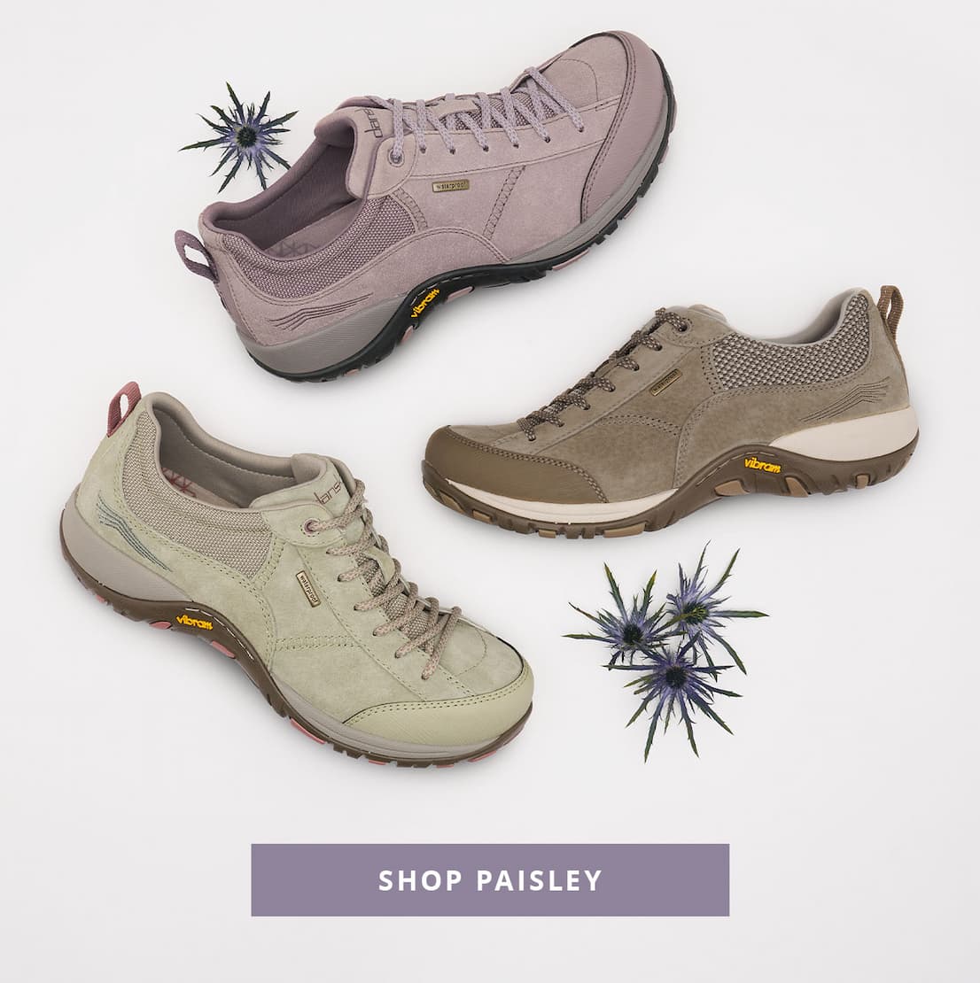 Shop Paisley 