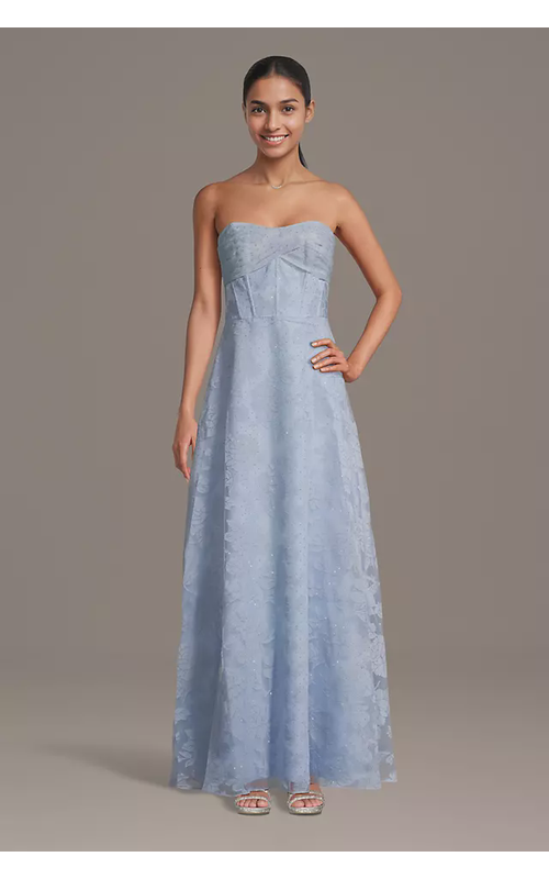 Strapless Burnout Organza Corset A-Line Dress