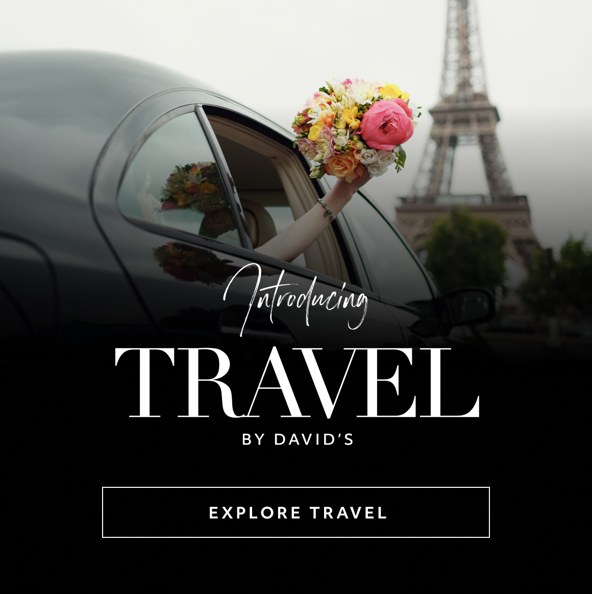 introducing travel by david's - explore travel