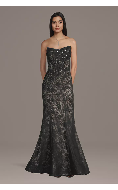 Lace Basque Waist Mermaid Gown