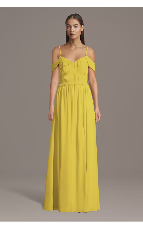 Chiffon Off-the-Shoulder Pleated Bodice Dress