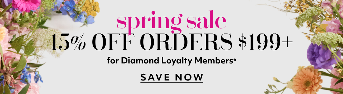 spring sale - save now