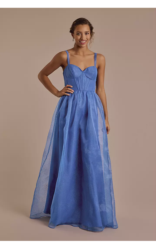 Glitter Tulle Corset Bodice Ball Gown