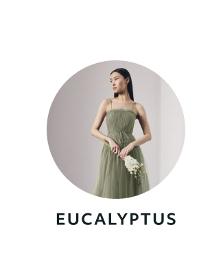Eucalyptus
