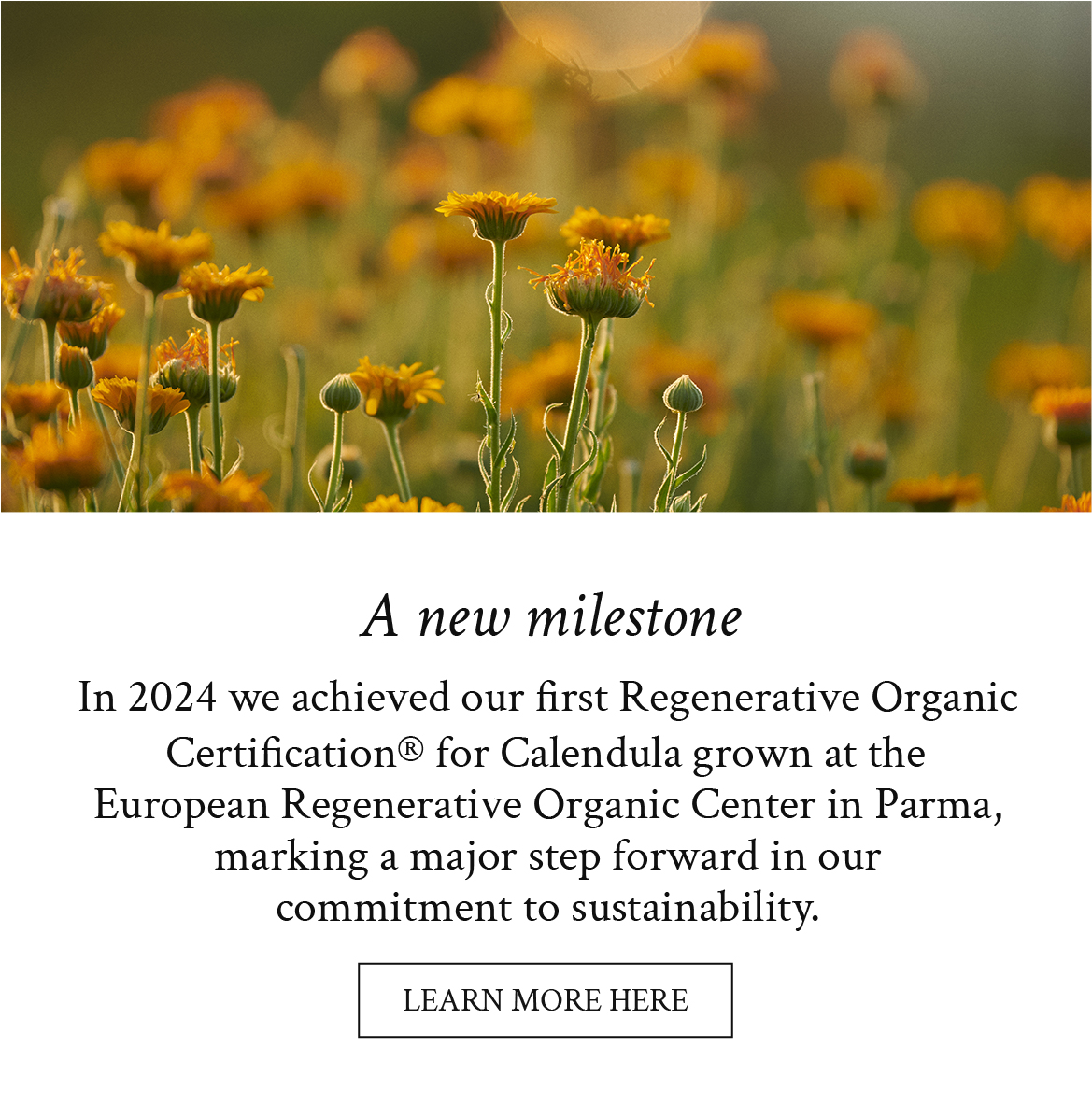 A new milestone