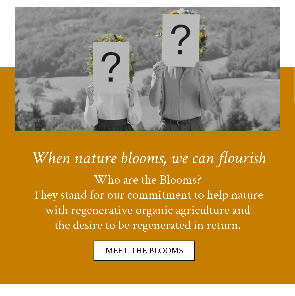 Meet the Blooms