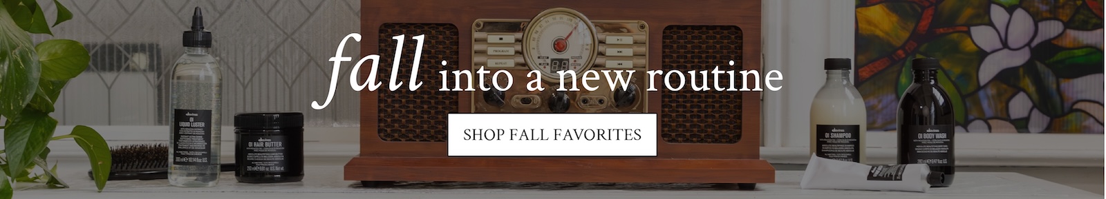 Shop fall favorites