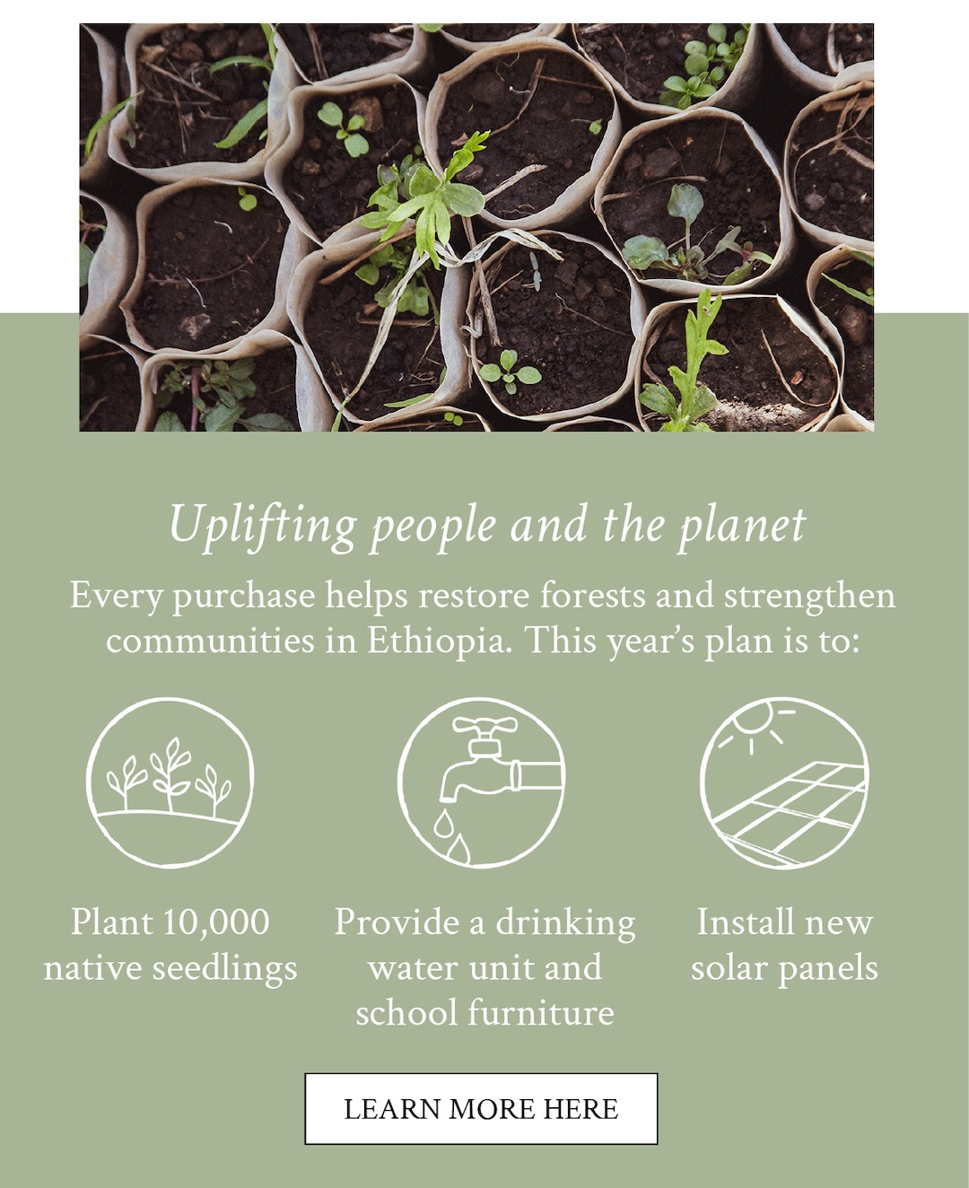 Learn more here
