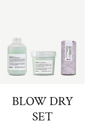 Blow Dry Set