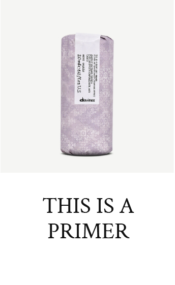 This is a Primer