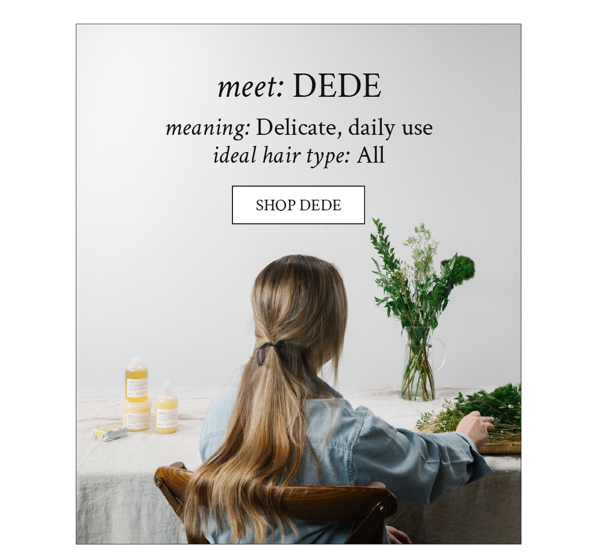 Meet DEDE