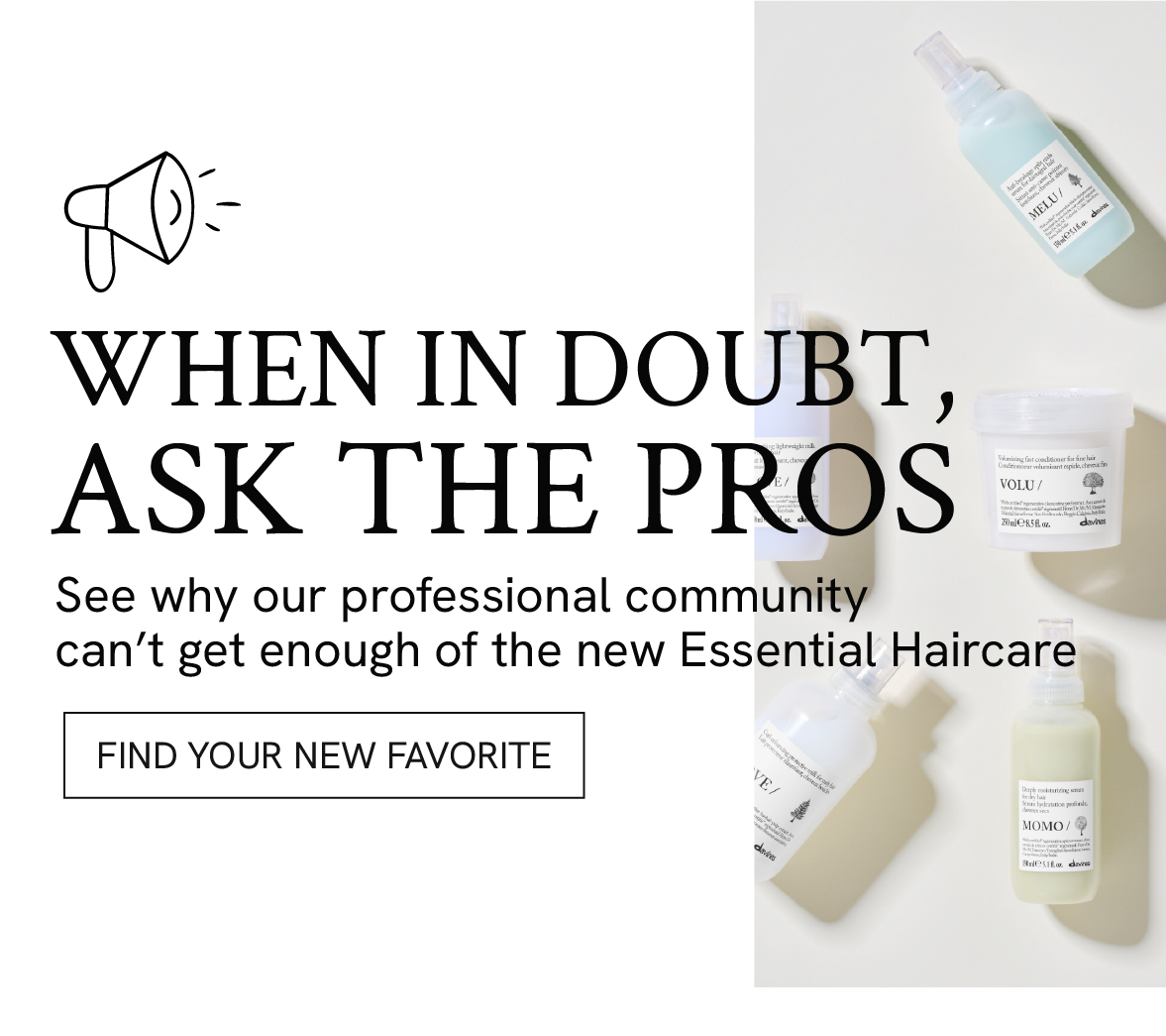 Find your new favorite
