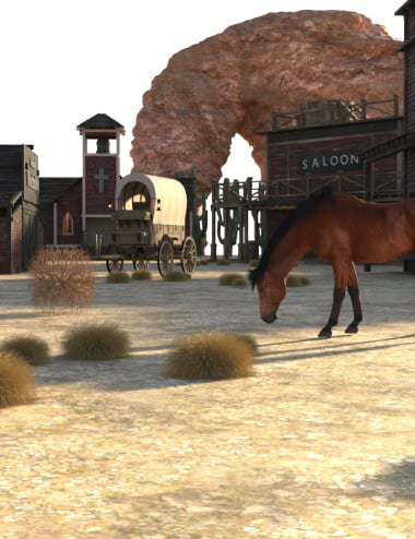 AP Wild West Bundle