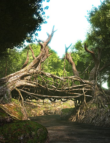 XI Root Bridge