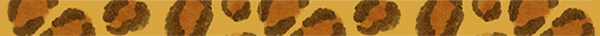 Cheetah Banner