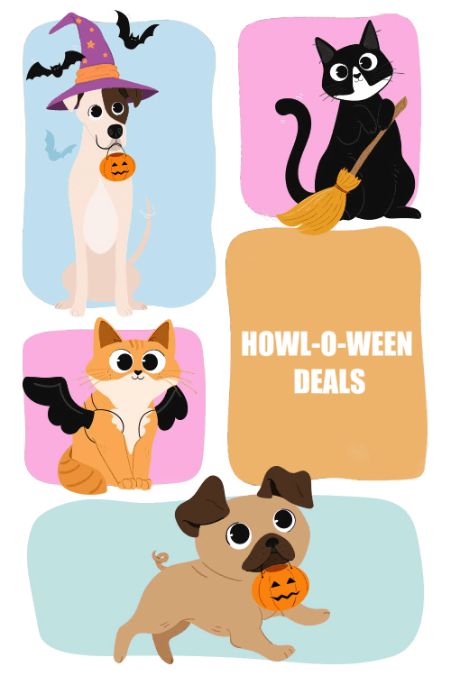 Cat and dog halloween graphic with pet hoodies and toys.