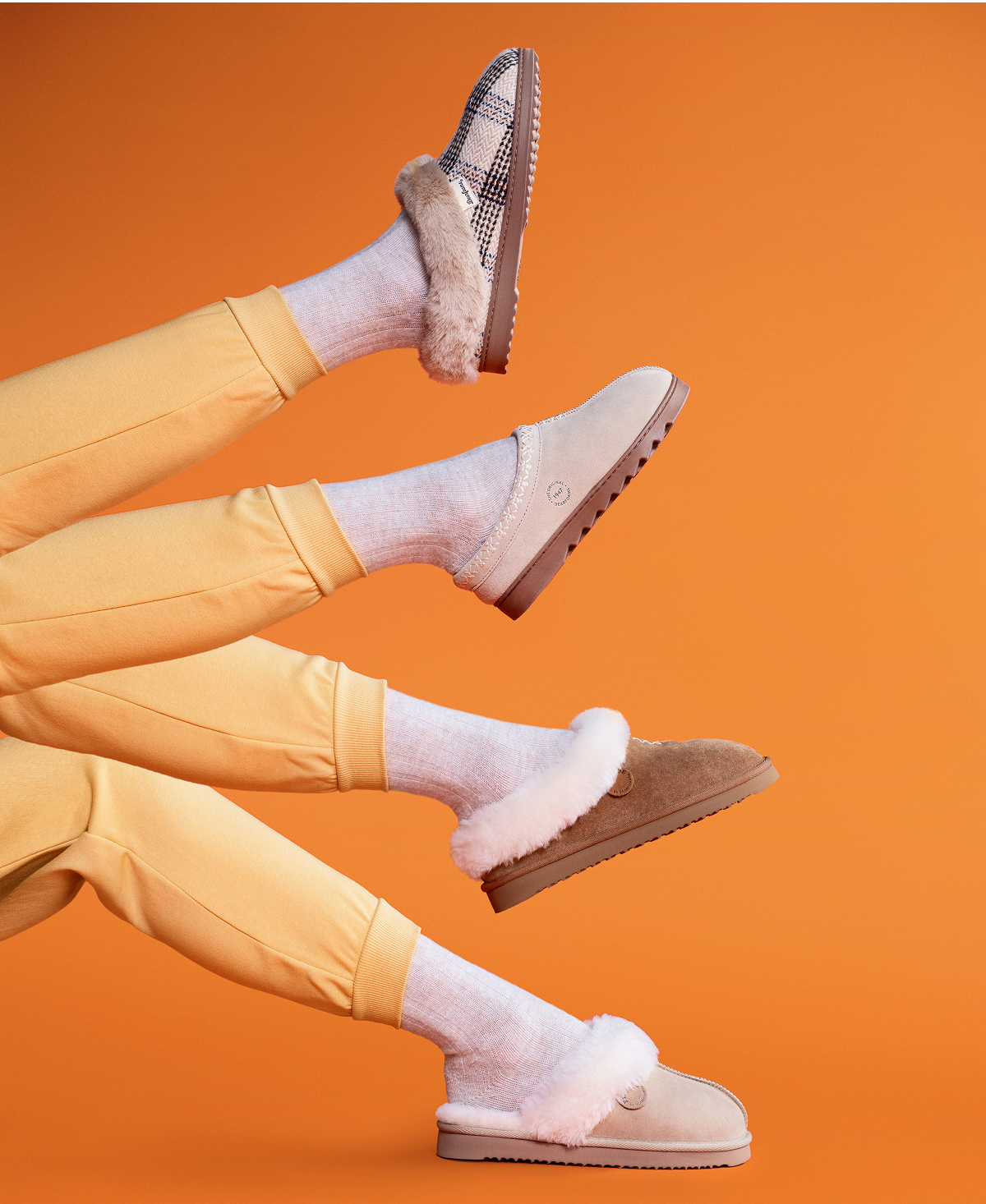 New Arrivals >