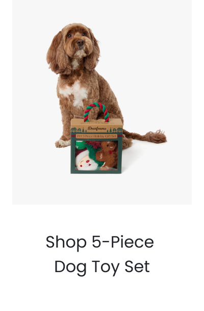 Toy Set >