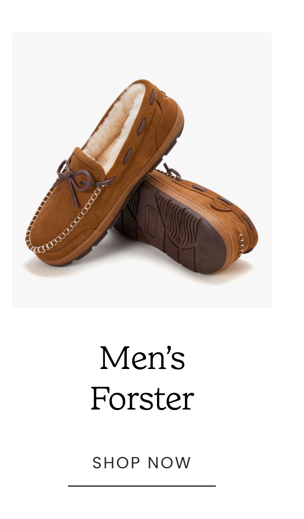 Forster >>