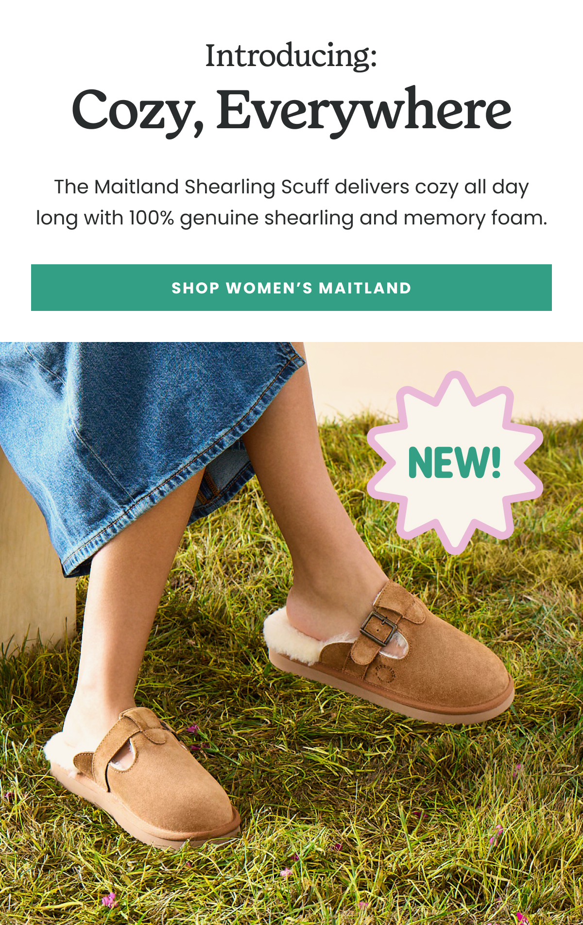 Introducing: Cozy, Everywhere >