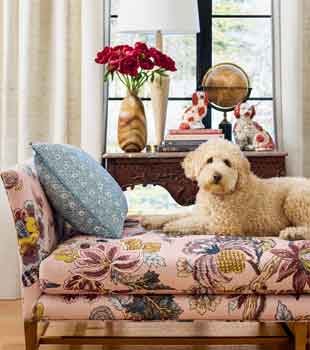 DESIGNER FABRIC