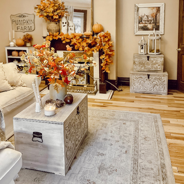 Decor Steals Main Deal