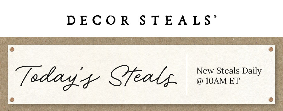 Today's Steals at Decor Steals