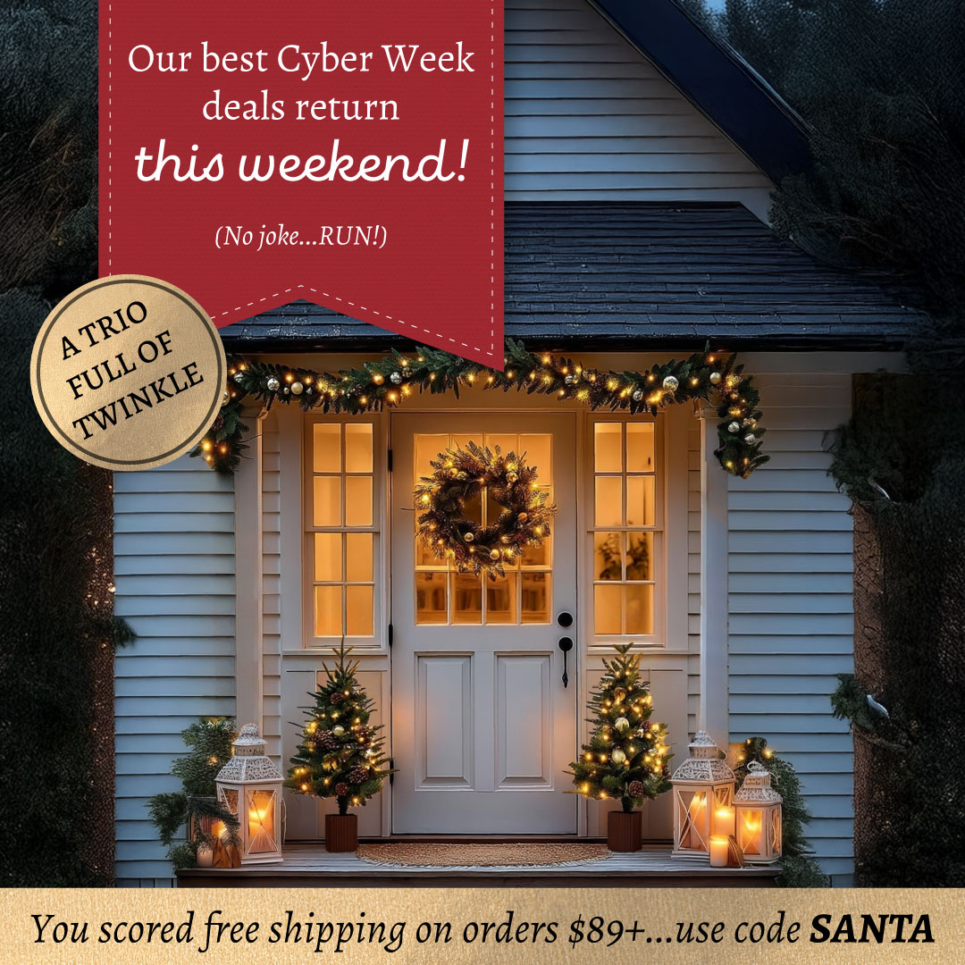 Today's Steals at Decor Steals