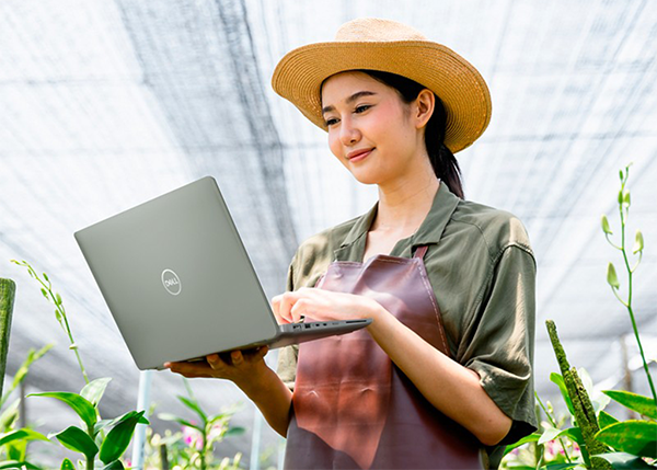 Zero SRL Indoor Farmer with Laptop