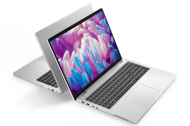 Two Dell 2-in-1 laptop computers arranged back-to-back.