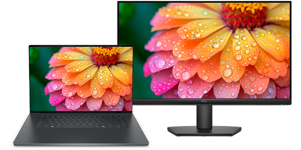 An XPS 16 Laptop computer next to a Dell 24 Monitor.