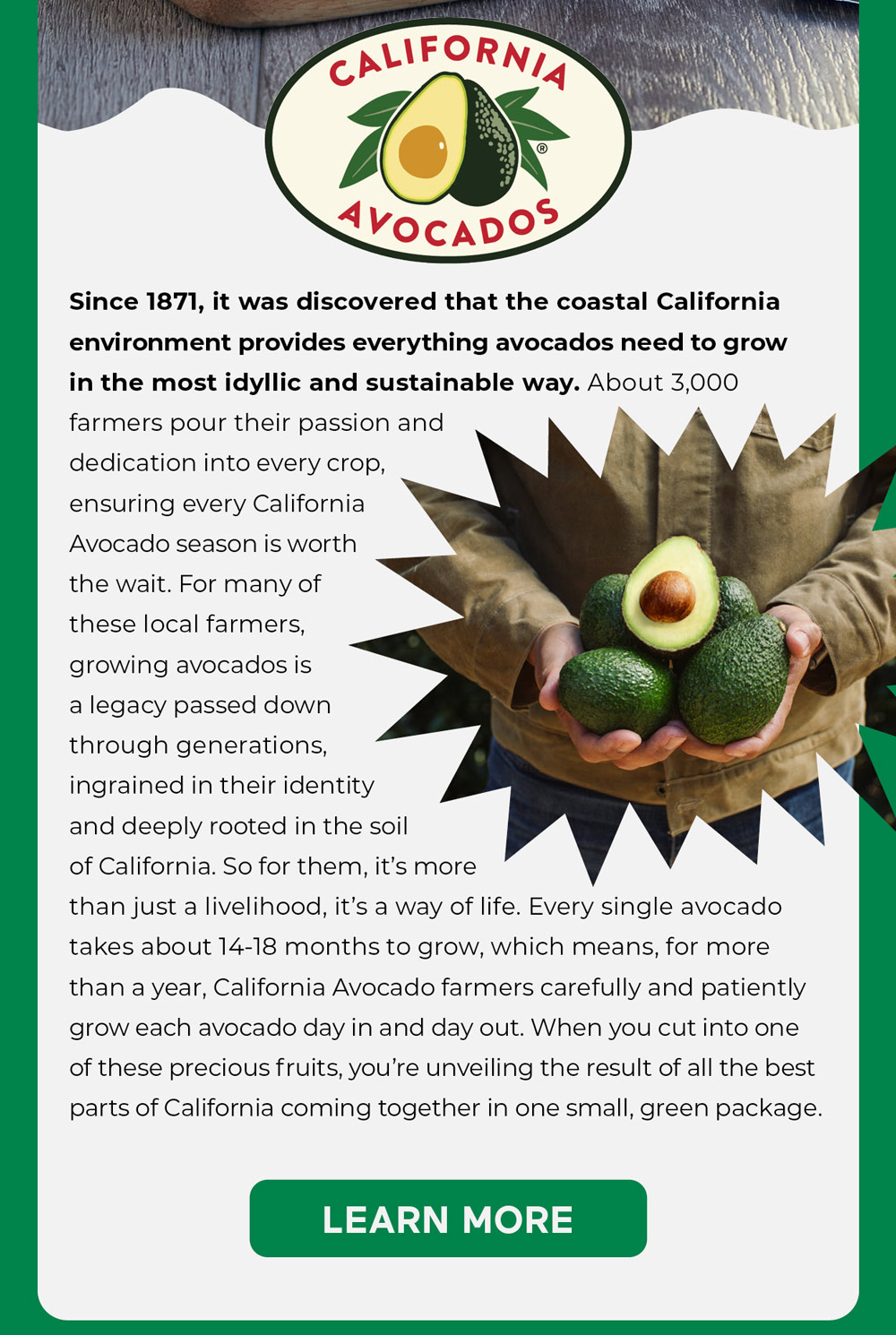 CA Avocados