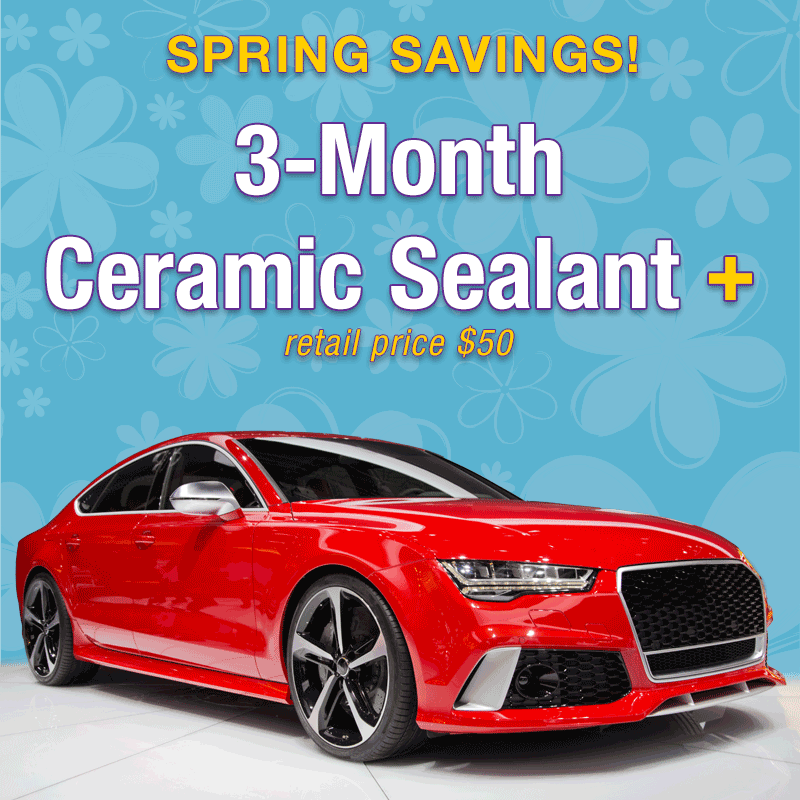 Spring savings 3 services only $75
