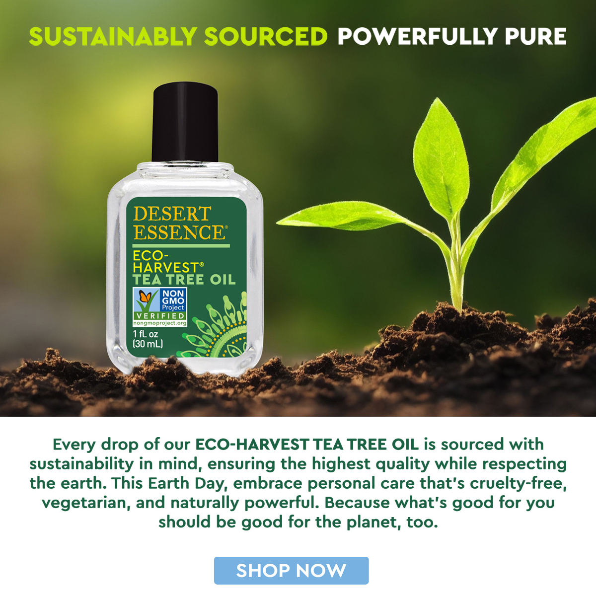 Sustainably Sourced, Powerfuly pure! shop Eco Harvest Tea Tree Oil! 