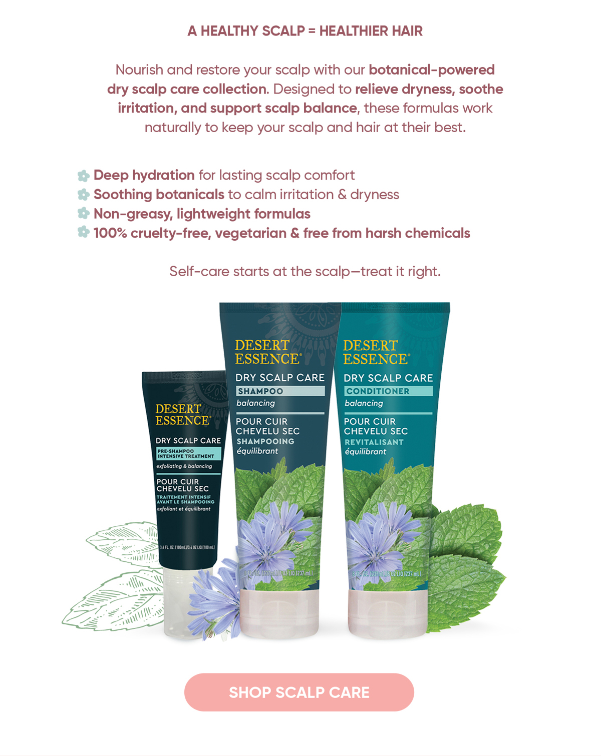 A healthy scalp = Healthier hair! 