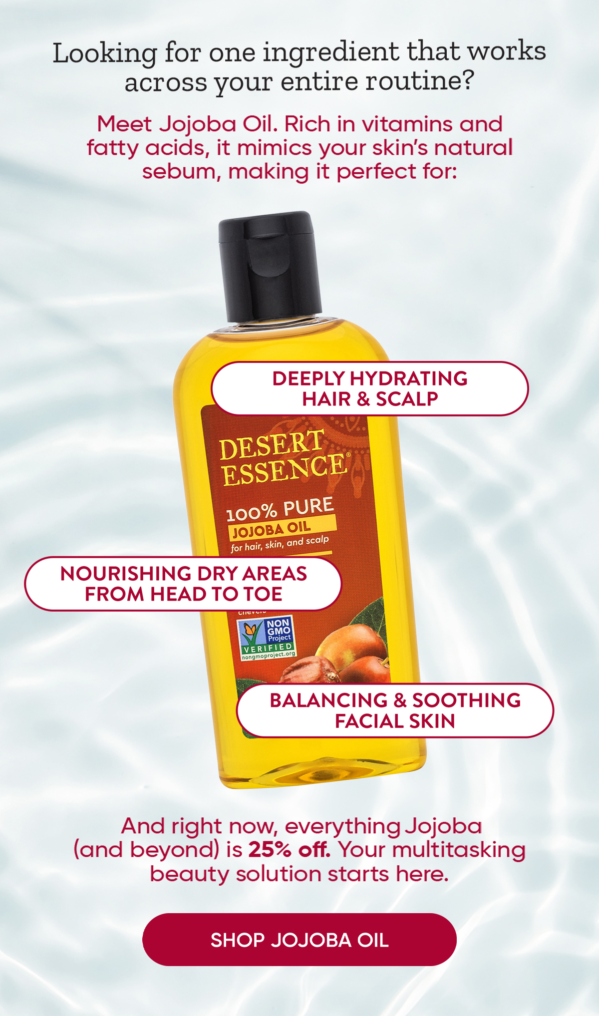 SHOP JOJOBA OIL NOW! 
