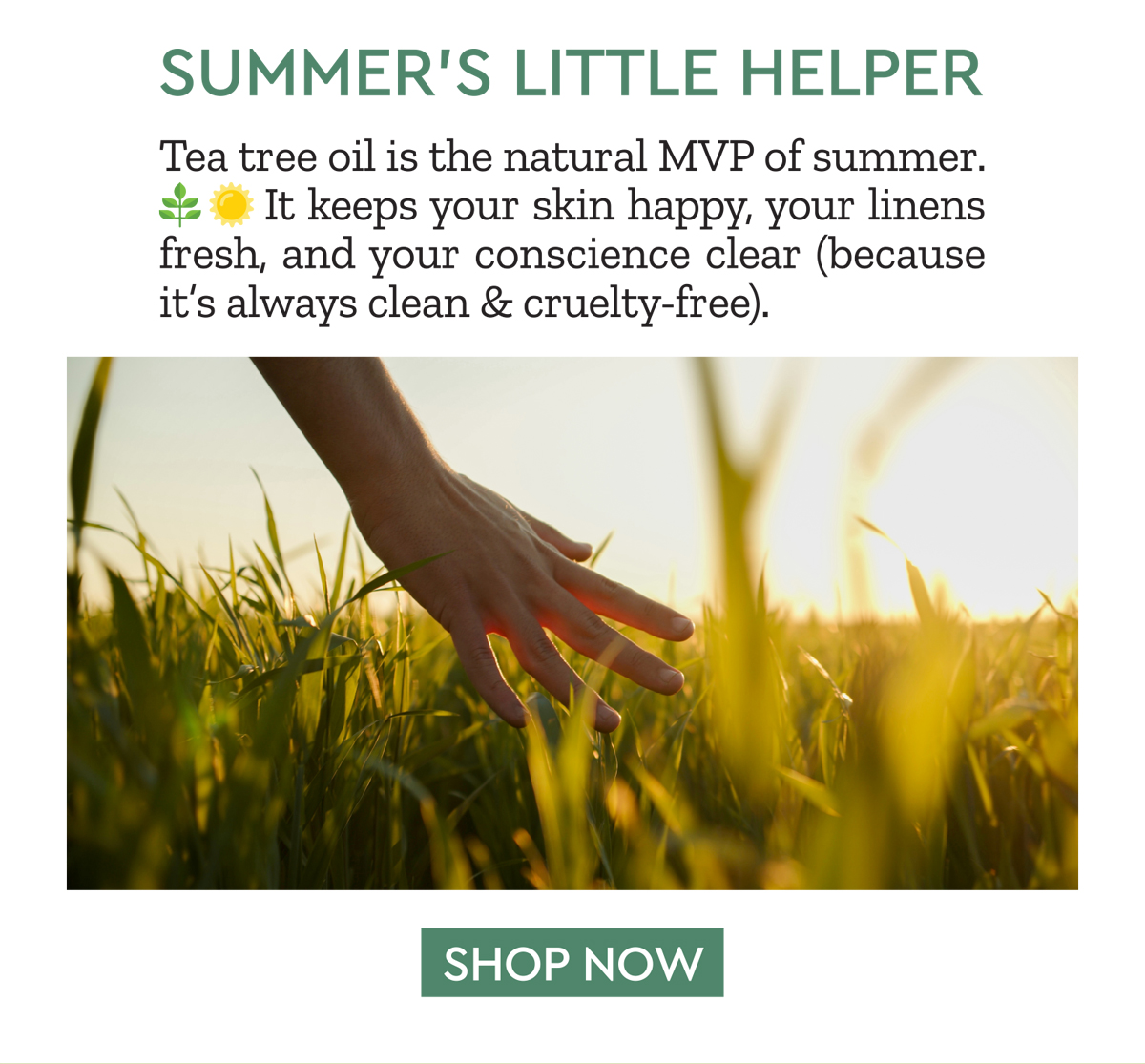 Summer's Little Helper! Shop Tea Tree oil now! 
