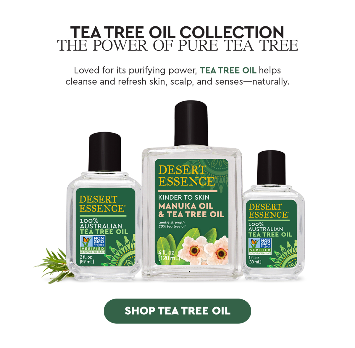 SHOP TEA TREE OIL