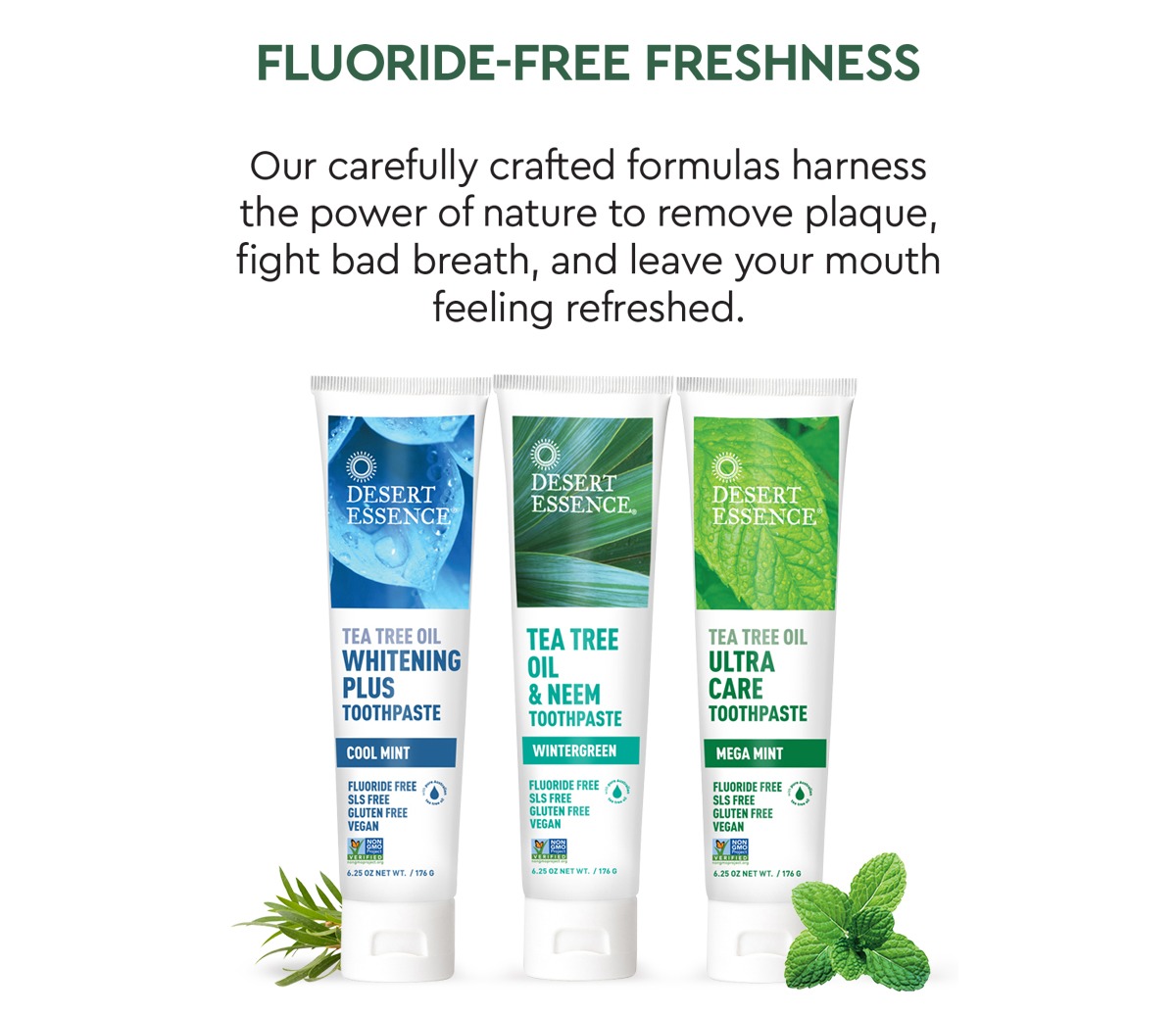 SHOP TOOTHPASTE