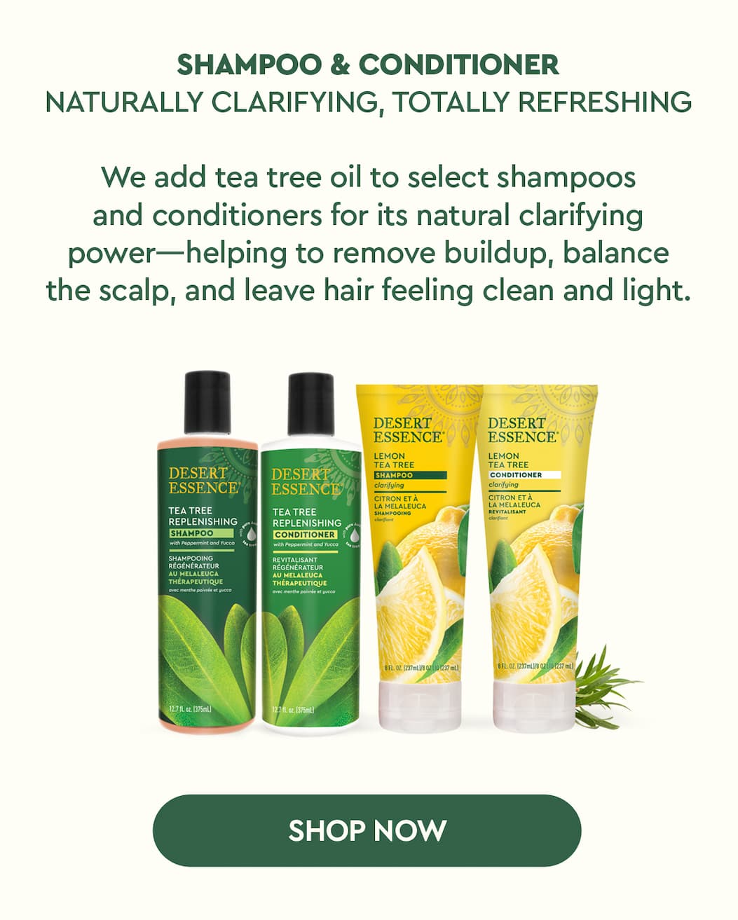 SHOP TEA TREE SHAMPOO & CONDITIONER