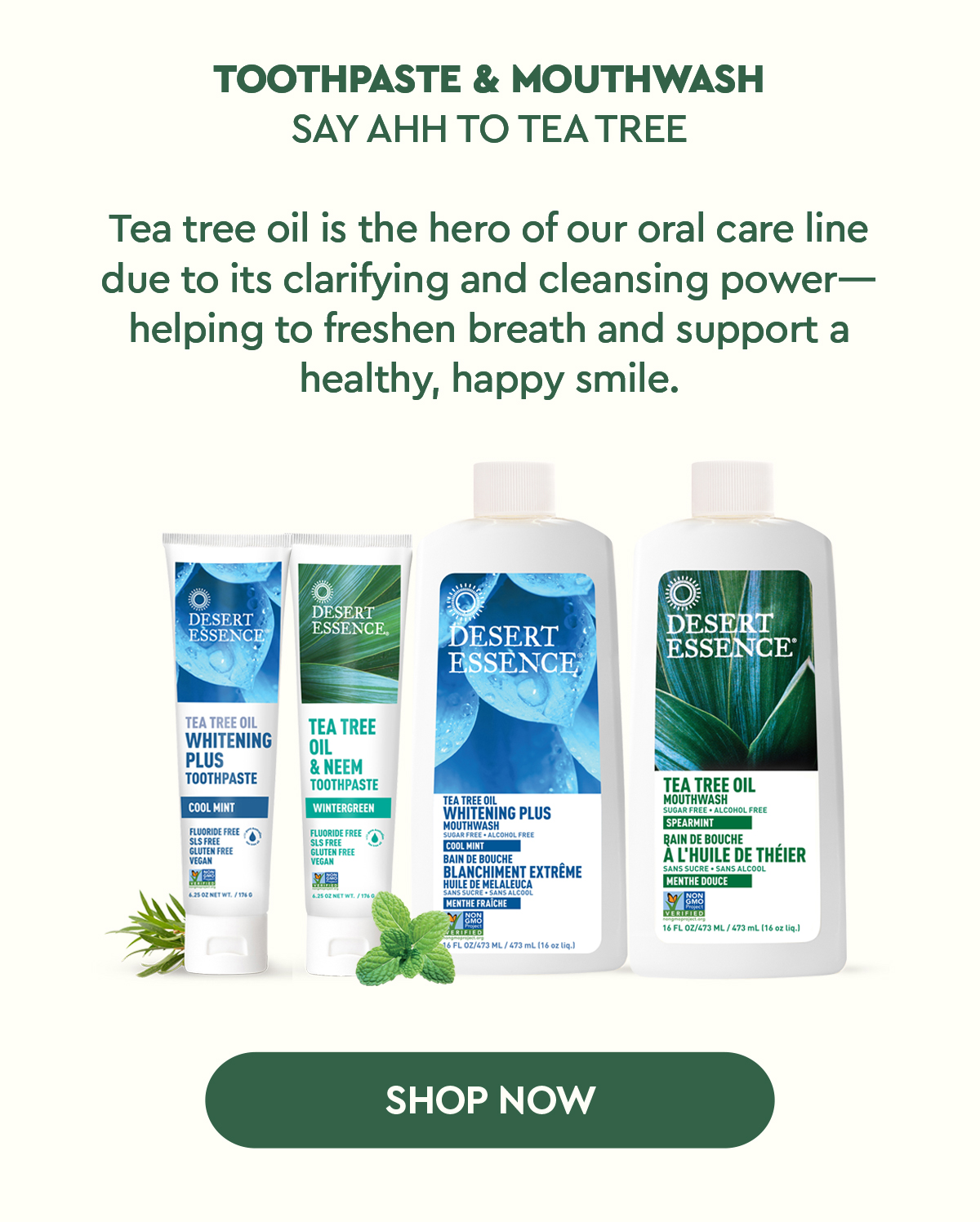 SHOP TEA TREE TOOTHPASTE & MOUTHWASH