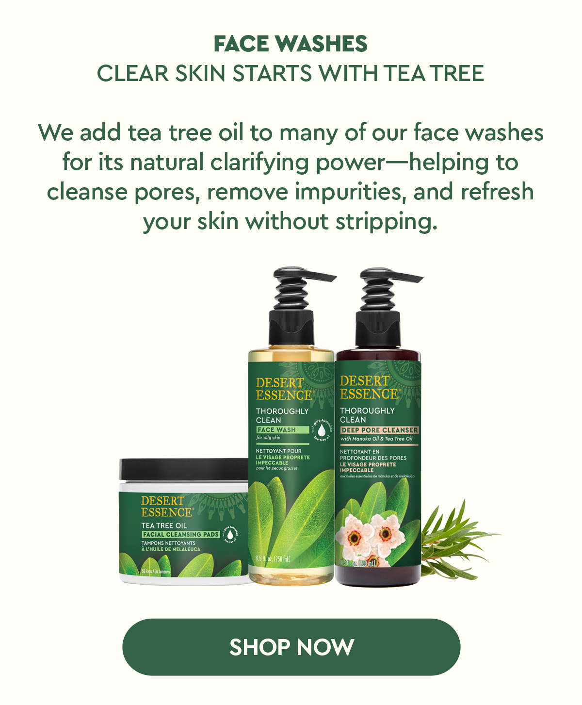 SHOP TEA TREE FASH WASH